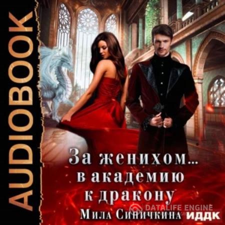 Синичкина Мила - За женихом… В академию к дракону (Аудиокнига)
