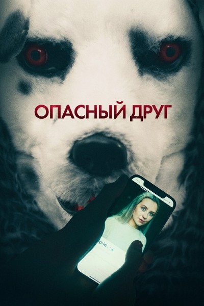 Опасный друг / Good Boy (2022/WEB-DL/WEB-DLRip)