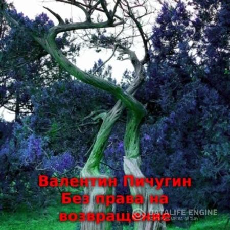 Пичугин Валентин - Без права на возвращение (Аудиокнига)