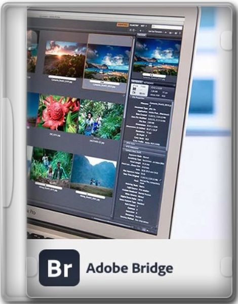 Adobe Bridge 2024 v14.0.1.137 download the new version for iphone