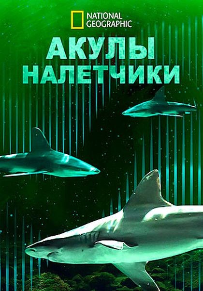 Акулы-налетчики / Bull Shark Bandits (2023/WEB-DL 1080p)