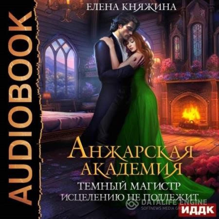 Княжина Елена - Анжарская академия. Темный магистр исцелению не подлежит (Аудиокнига)