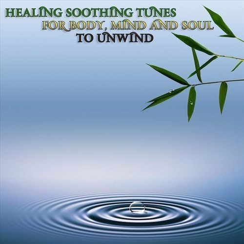 Healing Soothing Tunes for Body, Mind and Soul to Unwind (2023) FLAC