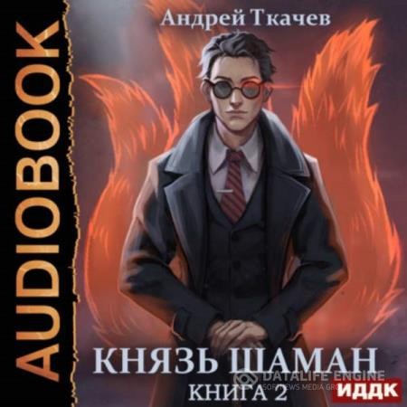 Ткачев Андрей - Князь шаман. Книга 2 (Аудиокнига)