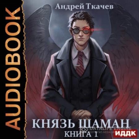 Ткачев Андрей - Князь шаман. Книга 1 (Аудиокнига)