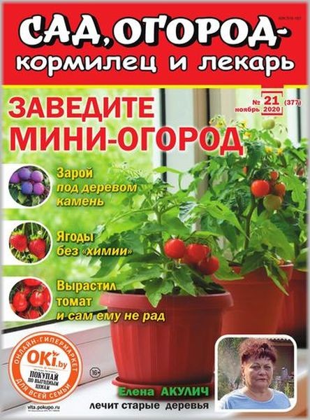 Сад, огород - кормилец и лекарь №21 2020
