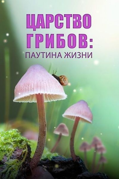 Царство грибов: паутина жизни / Fungi: The Web of Life (2023/WEBRip 2160p)