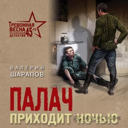 Шарапов Валерий - Палач приходит ночью (Аудиокнига)