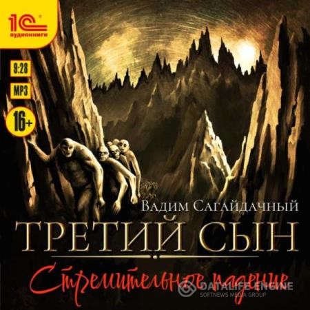 Сагайдачный Вадим - Третий сын. Стремительное падение (Аудиокнига)