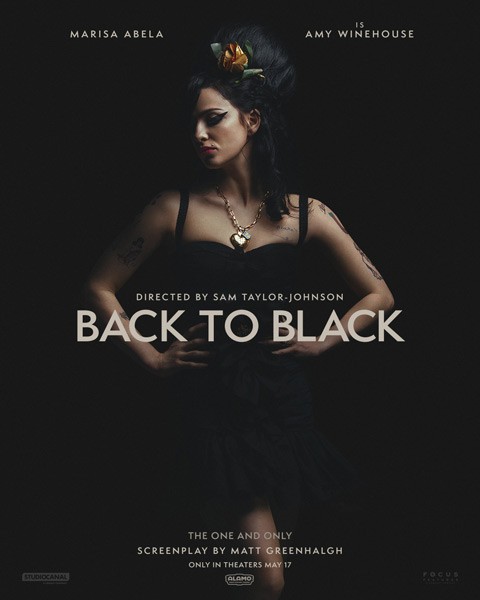 Обратно во мрак / Back to Black (2024/WEB-DL/WEB-DLRip)