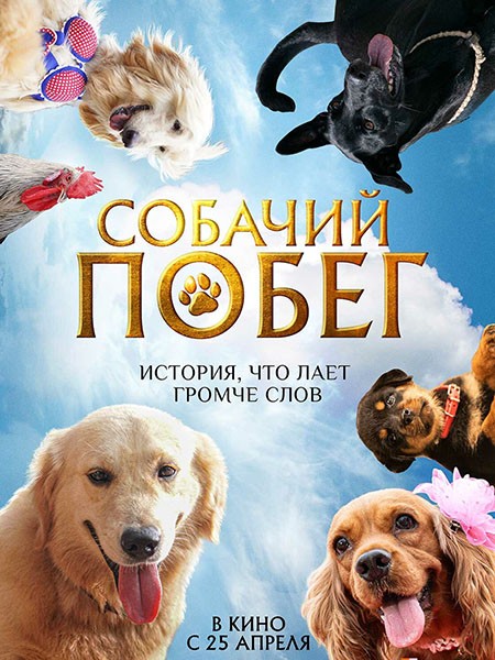 Собачий побег / Valatty (2023/WEB-DL/WEB-DLRip)