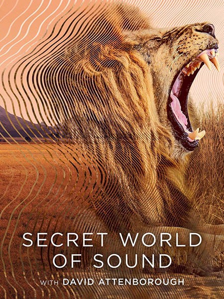 Тайный мир звука с Дэвидом Аттенборо / Secret World of Sound with David Attenborough (1 сезон/2024/WEB-DL/WEB-DLRip)