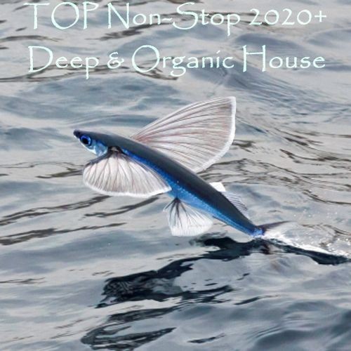 TOP Non-Stop 2020+. Deep & Organic House (2024)