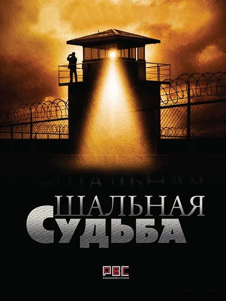 Работа над ошибками / Шальная судьба (2024/WEB-DL/WEB-DLRip)