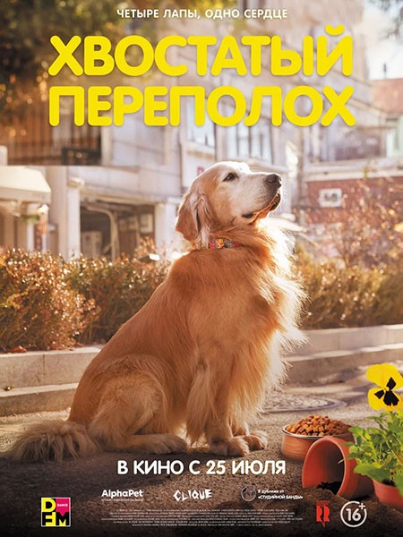 Хвостатый переполох / Dogeu deijeu / Dog Days (2024/WEB-DL/WEB-DLRip)