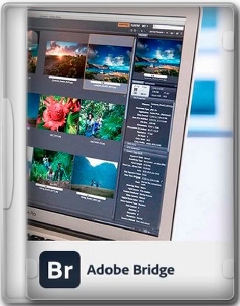 Adobe Bridge 2025 15.0.1.412 RePack by KpoJIuK