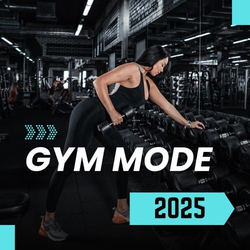 Gym Mode 2025 (2024) FLAC