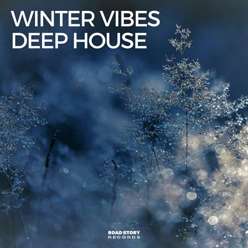 Winter Vibes Deep House (2024)