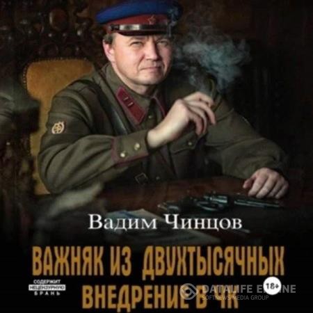 Чинцов Вадим - Важняк из двухтысячных. Внедрение в ЧК (Аудиокнига)