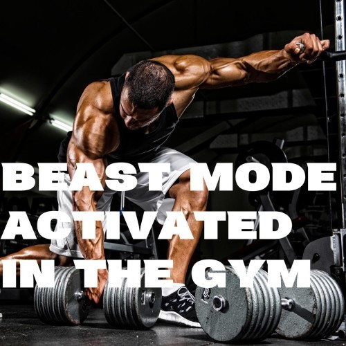 Beast Mode Activated in the Gym (2025) FLAC