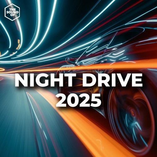 Night Drive 2025 (2025) FLAC