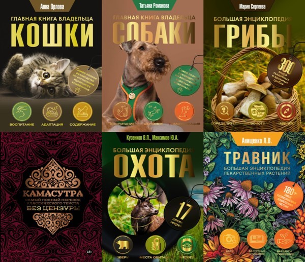 Серия «Популярная энциклопедия» (6 книг)