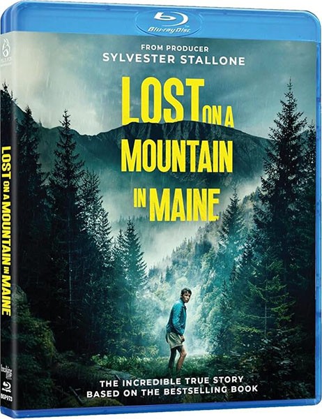 В плену стихии / Lost on a Mountain in Maine (2024/HDRip)
