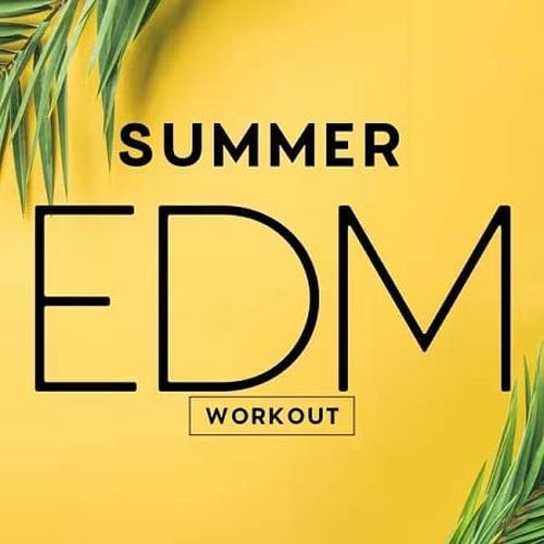 Summer EDM Workout (2025) FLAC