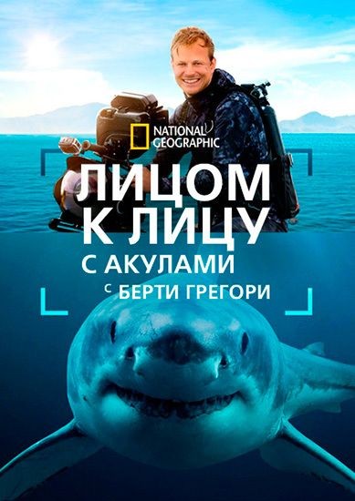 Лицом к лицу с акулами с Берти Грегори / Sharks Up Close with Bertie Gregory (2025/WEB-DL 2160p)