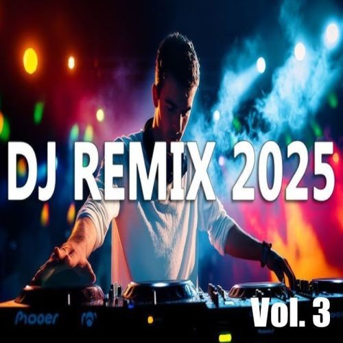 DJ Remixed Hits Vol.3 (2025)