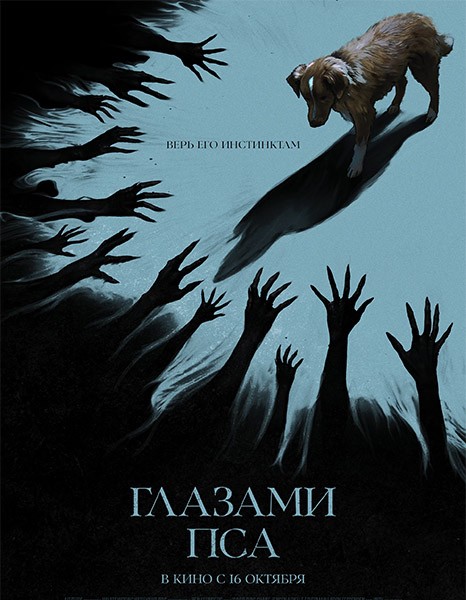 Глазами пса / Good Boy (2025/4K/WEB-DL/WEB-DLRip)