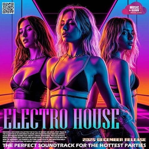 The Perfect Electro House (2025)
