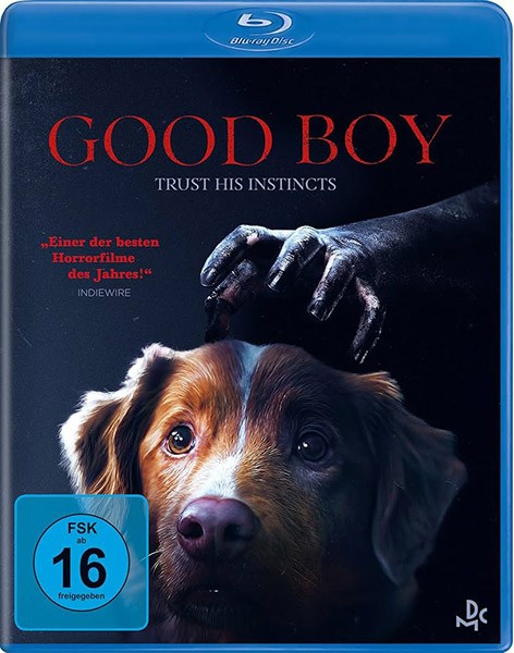 Глазами пса / Good Boy (2025/4K/BDRip/HDRip)
