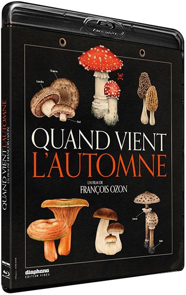 Что случилось осенью / Quand vient l'automne (2024/BDRip/HDRip)