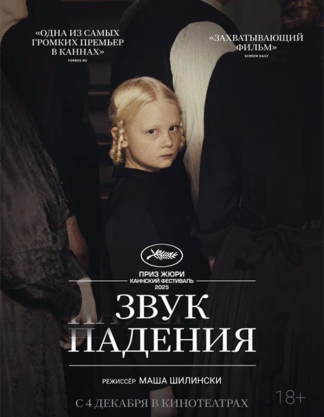 Звук падения / In die Sonne schauen / Sound of Falling (2025/WEB-DL/WEB-DLRip)
