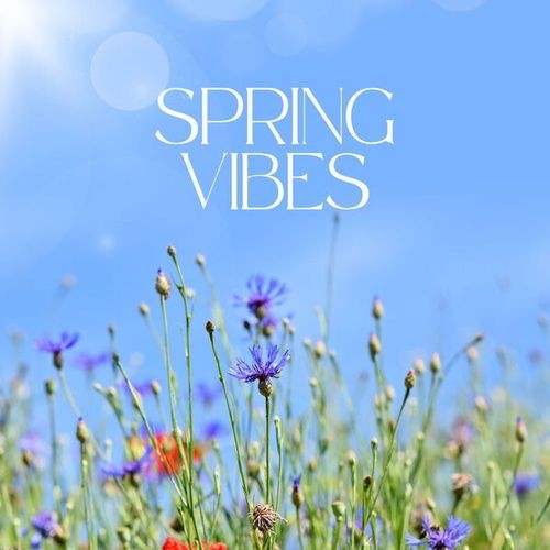 Spring Vibes (2026) FLAC