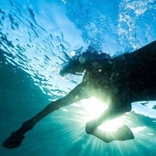 Dream Nails - You Wish (2026) FLAC