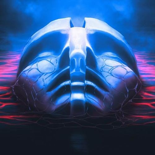 Sylosis - The New Flesh (2026) FLAC