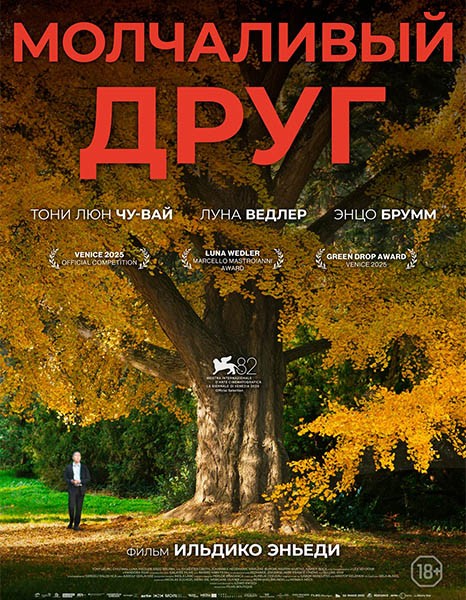 Молчаливый друг / Stille Freundin (2025/WEB-DL/WEB-DLRip)