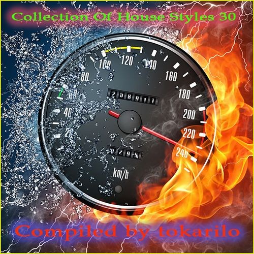 Collection Of House Styles 30 (Compiled by tokarilo) (2026)