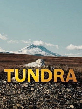 Тундра / Tundra (2021/HDTV 1080i)