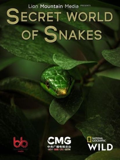 Тайный мир змей / The Hidden World of Snakes (2025/HDTV 1080p)