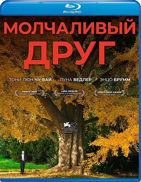 Молчаливый друг / Stille Freundin (2025/BDRip/HDRip)