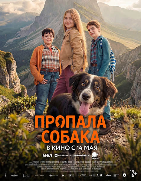 Пропала собака / Io non ti lascio solo (2025/WEB-DL/WEB-DLRip)