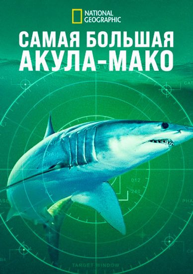 Самая большая акула-мако / World's Biggest Mako (2026/WEB-DL 1080p)