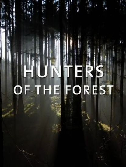 Лесные охотники / Hunters of the Forest (2021/HDTVRip 720p)