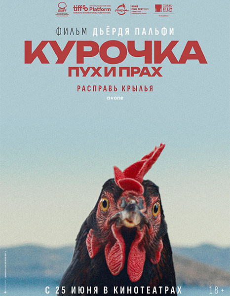 Курочка. Пух и прах / Kota / Hen (2025/WEB-DL/WEB-DLRip)