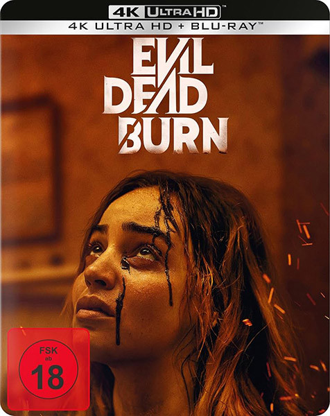 Зловещие мертвецы: Пекло / Evil Dead Burn (2026/4K/BDRip/HDRip)