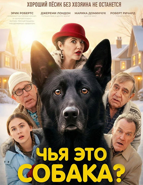 Чья это собака? / Not My Dog (2025/WEB-DL/WEB-DLRip)