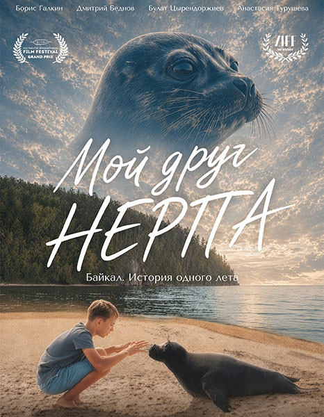 Мой друг нерпа (2025/WEB-DL/WEB-DLRip)